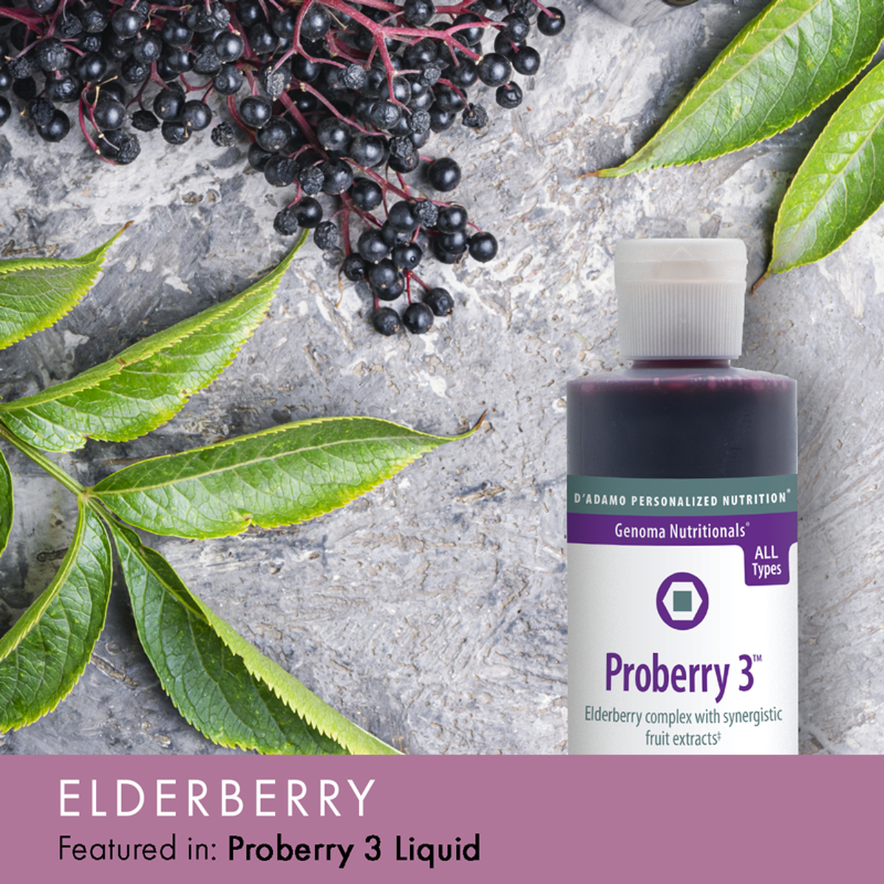 elderberry-virus-fighters
