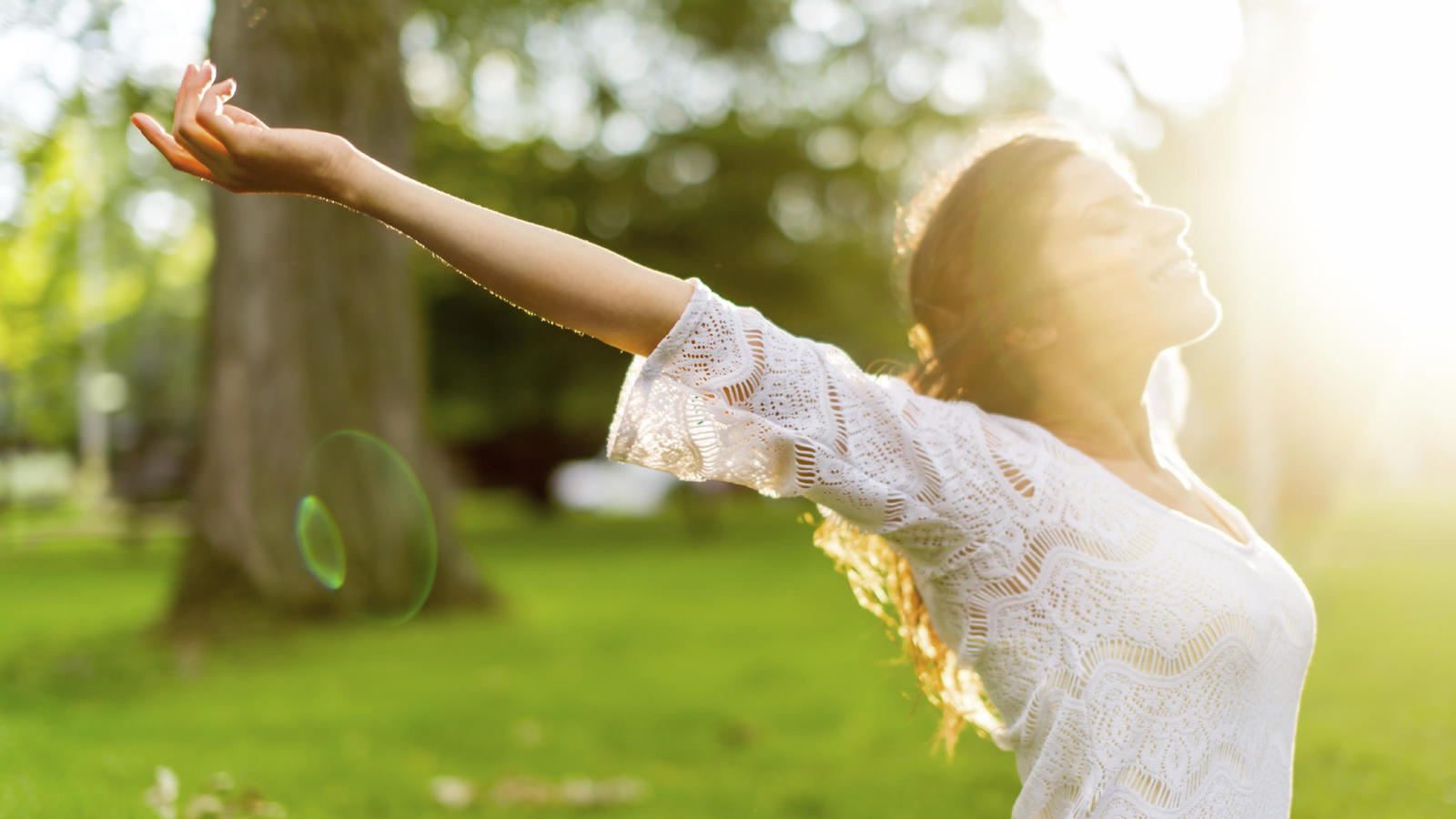 Air Purifiers / Ionizers True Health Trust