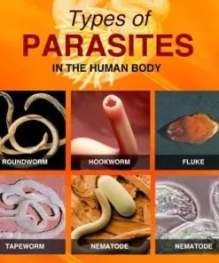 Herbal Parasite Purge