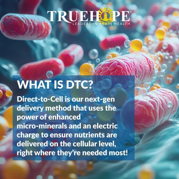 EMPowerplus Ultimate - Image 4